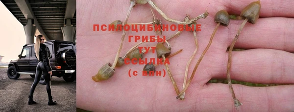 соль курить ск Алексин