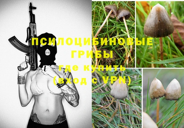 МДПВ Алзамай