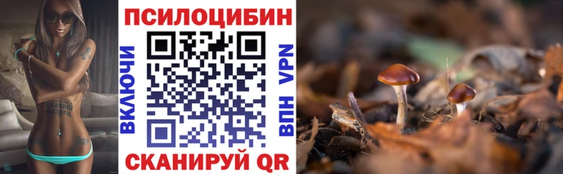Галлюциногенные грибы мицелий  купить наркотик  Крымск 