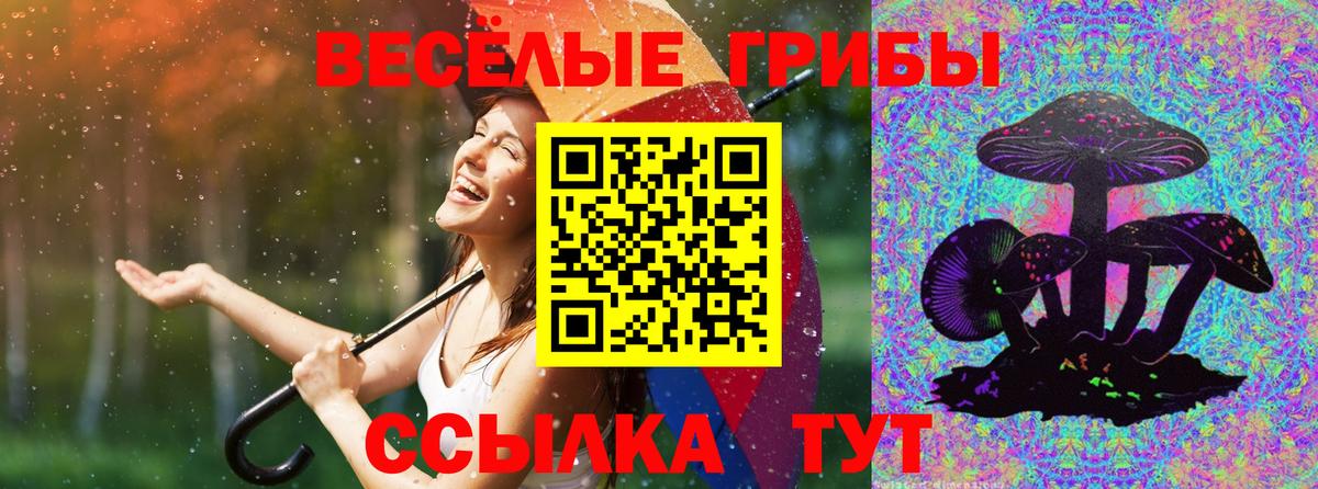 Псилоцибиновые грибы ЛСД Крымск